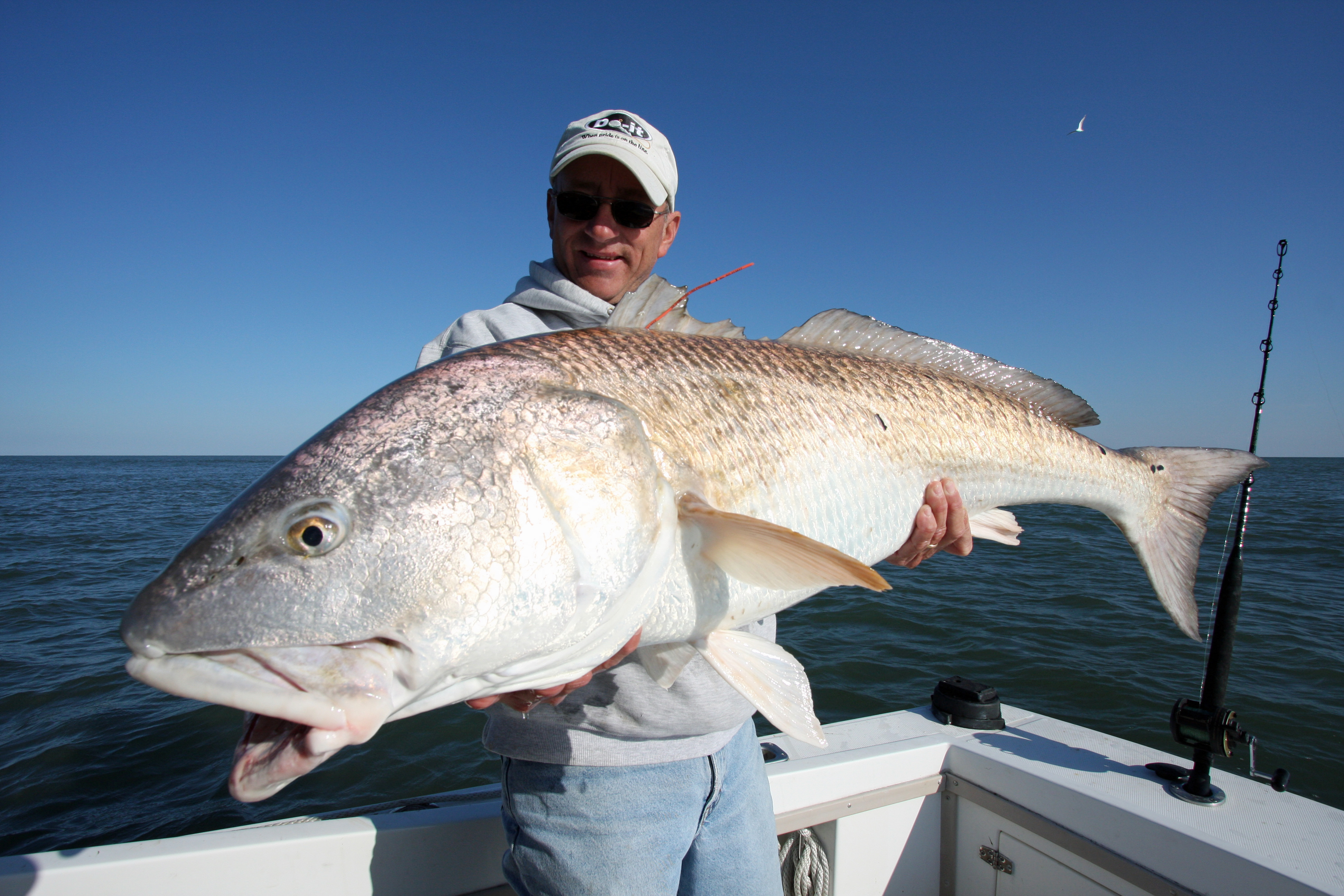 Red Drum  Healthy Grin Sport Fishing