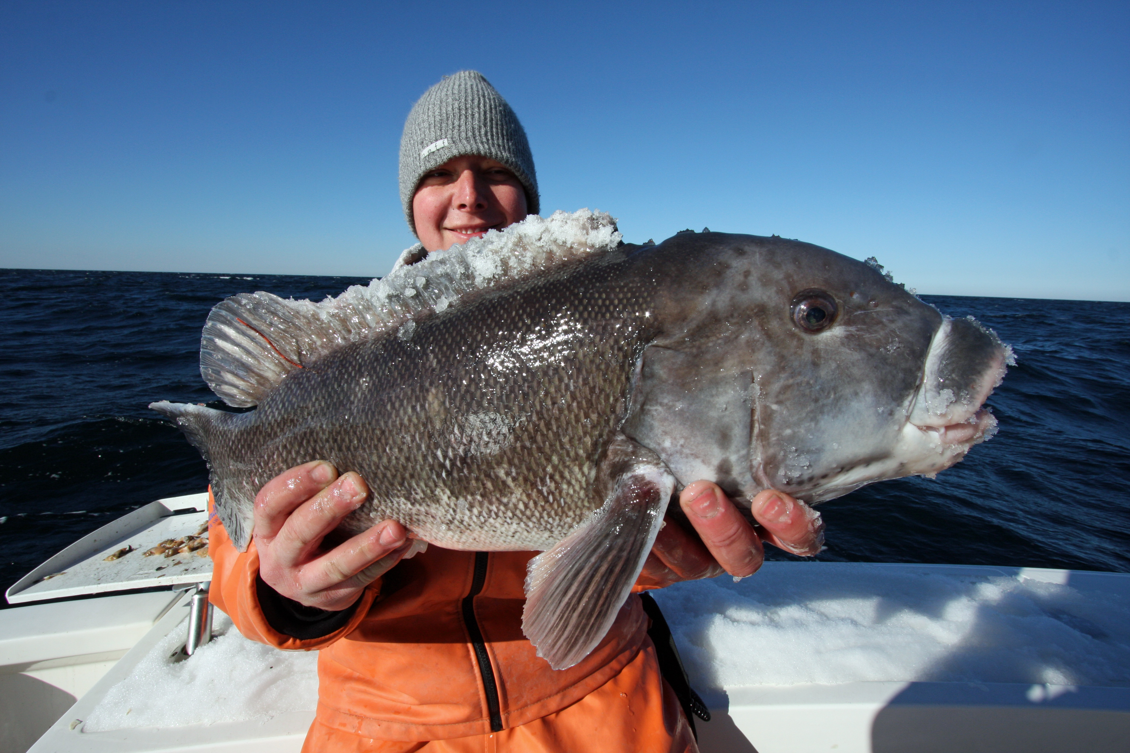 Chub mackerel fun to catch and eat