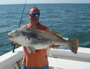 BlackDrum2