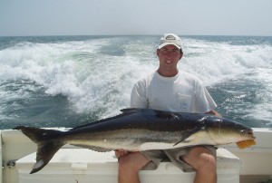 Matt65cobia7