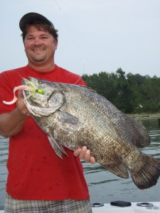 tripletail11