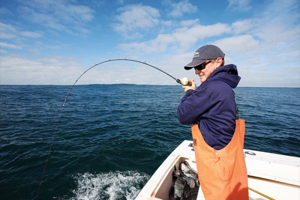 Virginia Anglers Dig Deep for Big Black Sea Bass