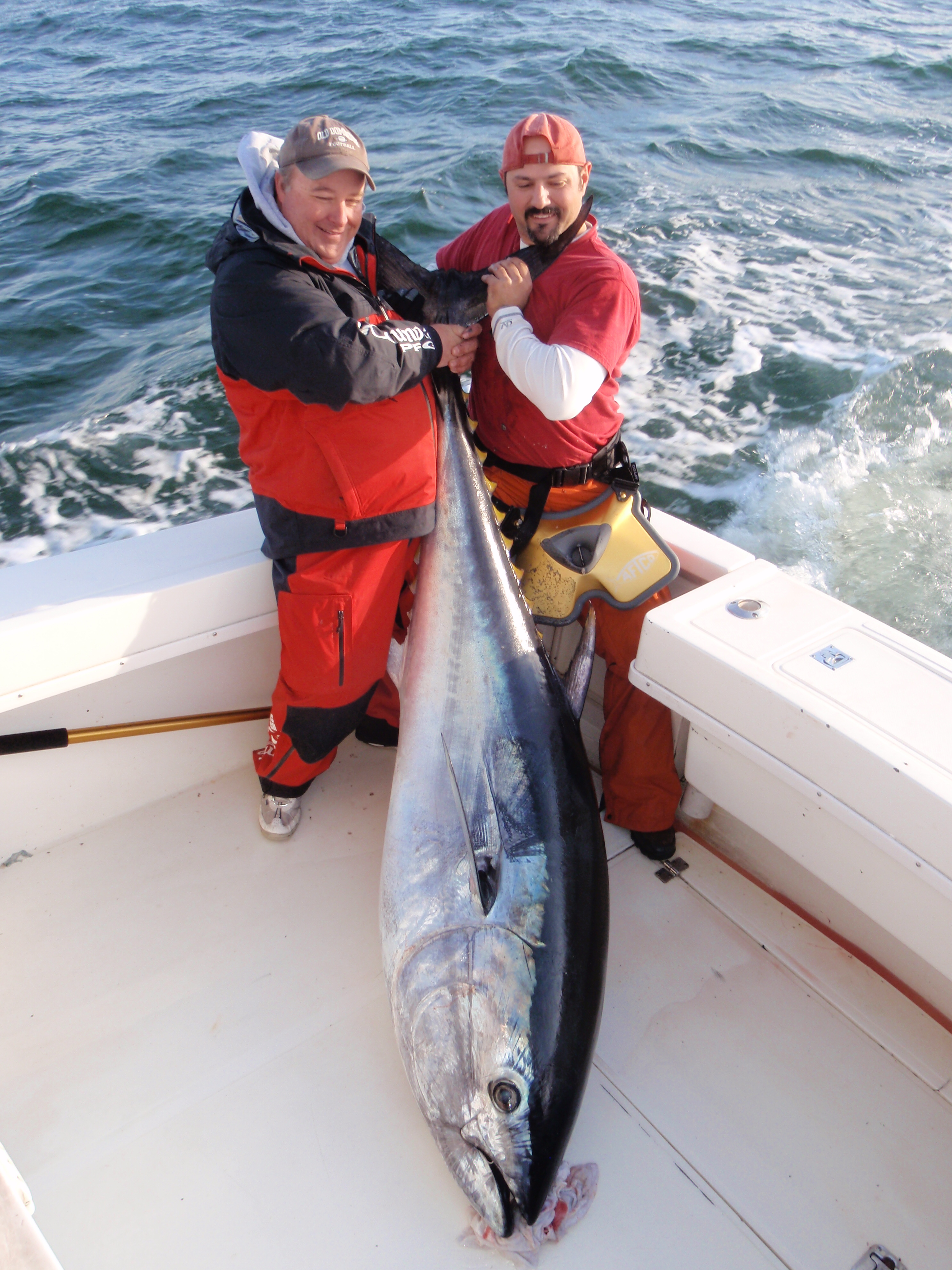 Bluefin Tuna and Yellowtail are Included in the January Fishing