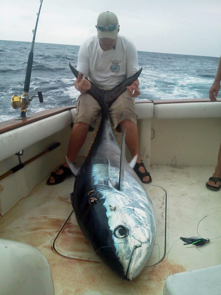 Leading Tuna